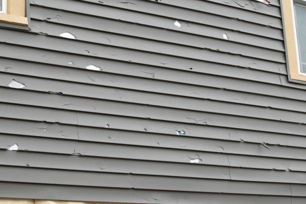 Best Siding for Multi-Family Homes  in Clovis, CA