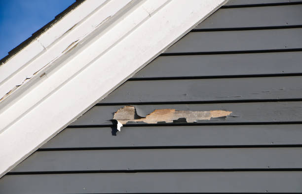 Reliable Clovis, CA Siding Installation & Repair Solutions
